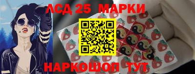 Альфа ПВП Малгобек