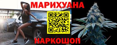 Альфа ПВП Малгобек